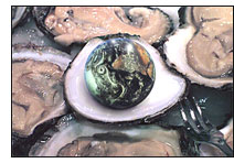 boat insurance, Texas