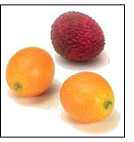 Compare auto insurance rates, Dallas Texas