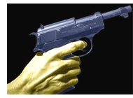 Home and property insurance, Garland Texas