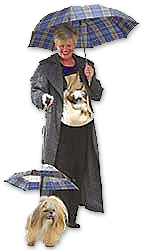 Fire and casualty insurance rates, Dallas Fort Worth Texas